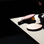 Hotel Le Bugatti 3*