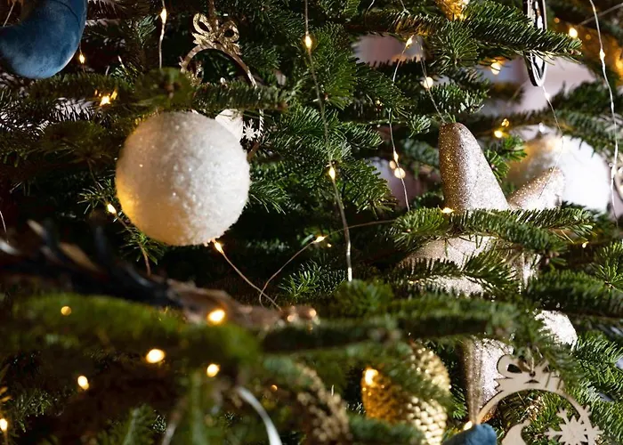 Le Bugatti 3* Molsheim